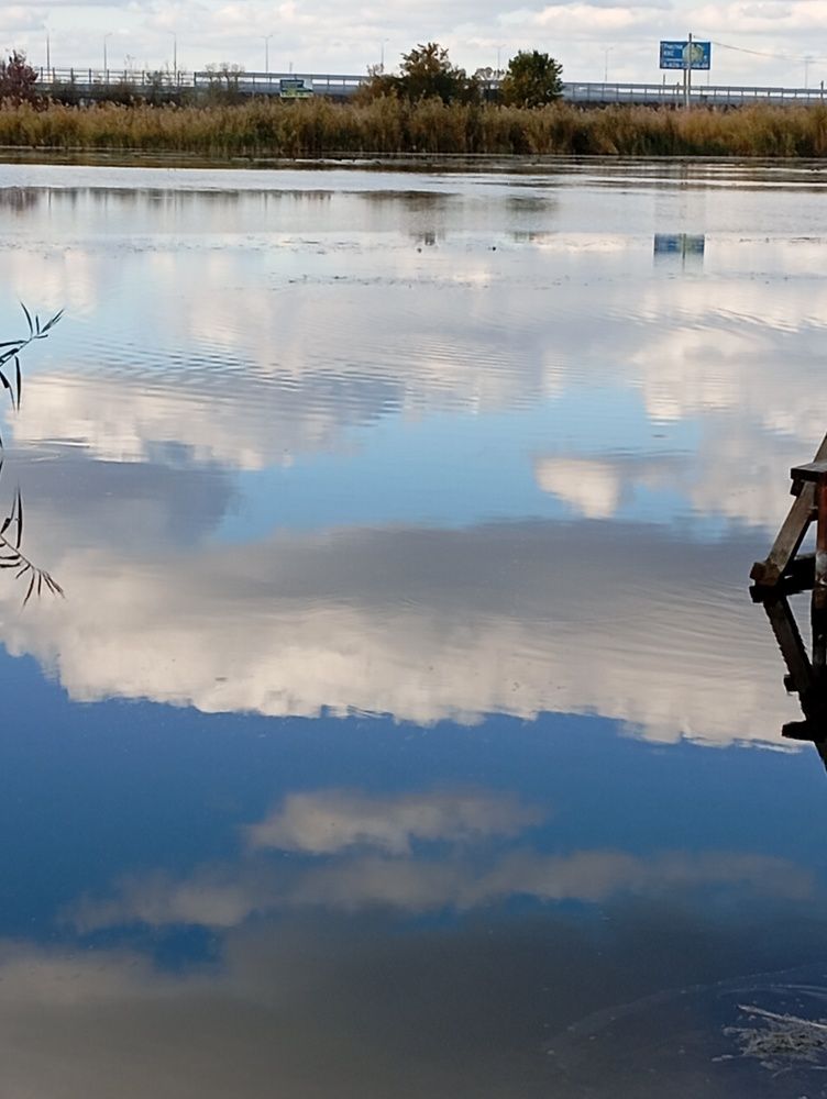 Photograph by Алевтина