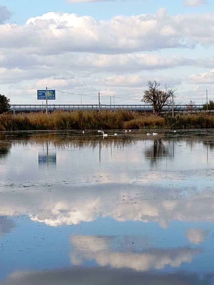 Водное отражение