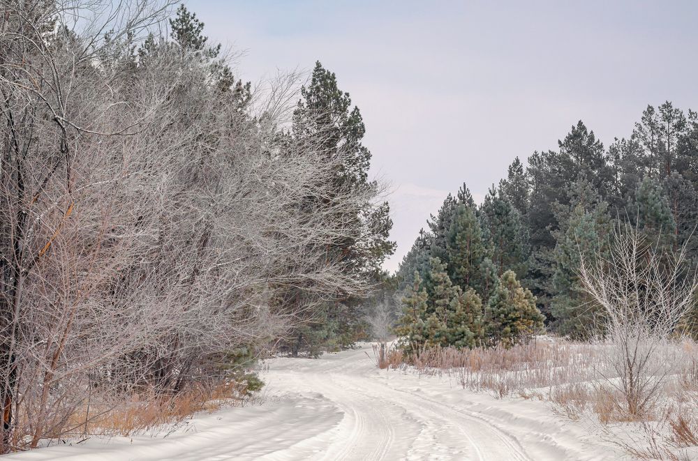 Photograph by Олег Белан