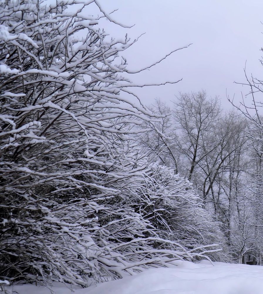 Photograph by Елена Сухорученкова