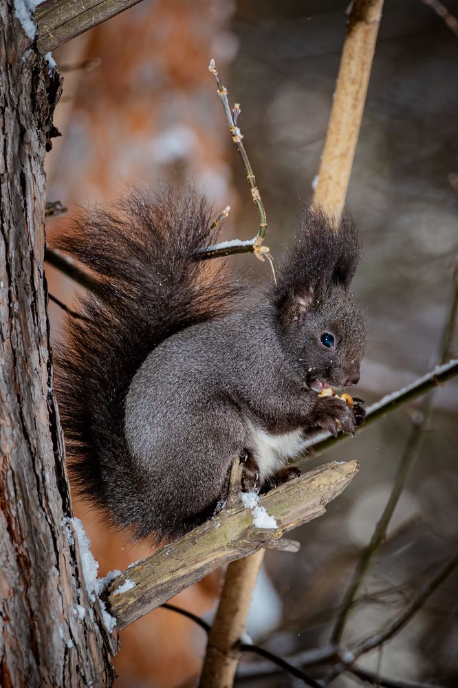 Photograph by Князев Сергей