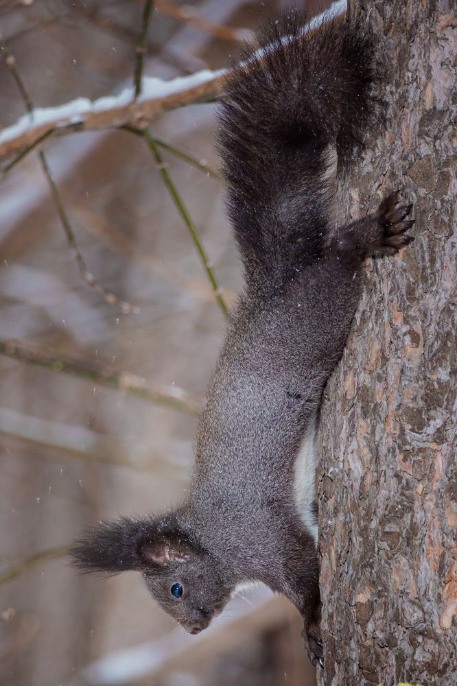 Photograph by Князев Сергей