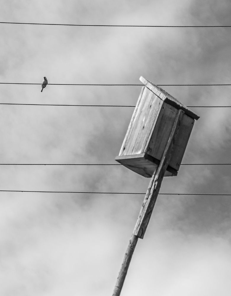 Photograph by Лактионов Анатолий
