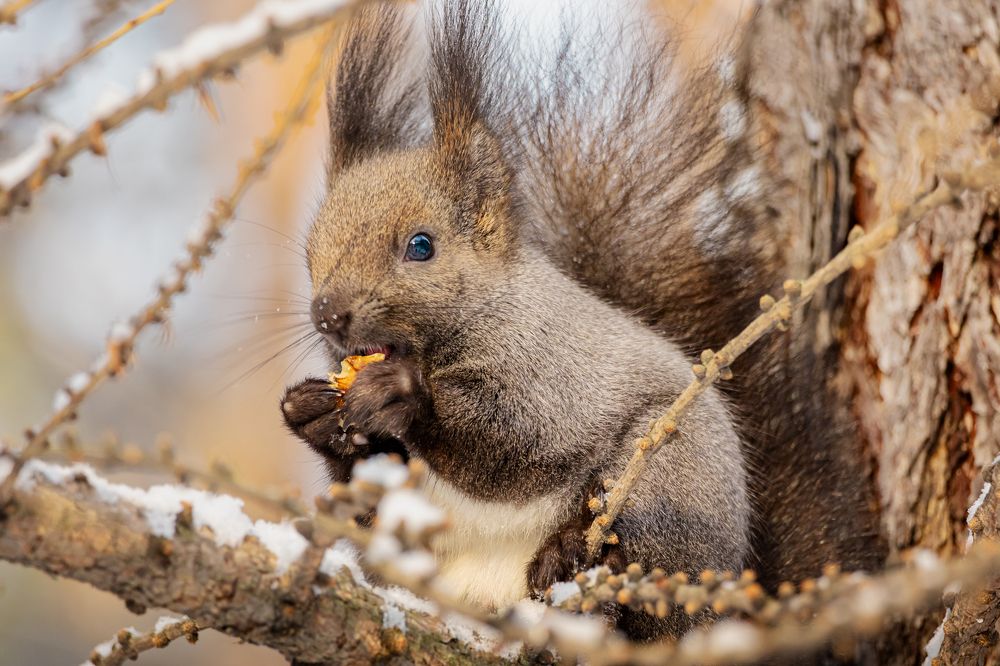 Photograph by Князев Сергей