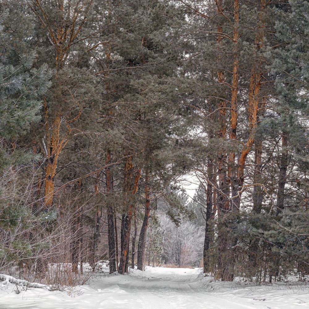 Фотография автора Олег Белан