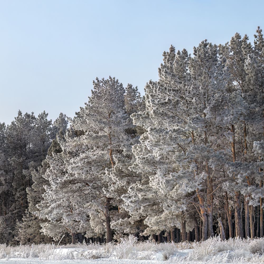 Фотография автора Олег Белан