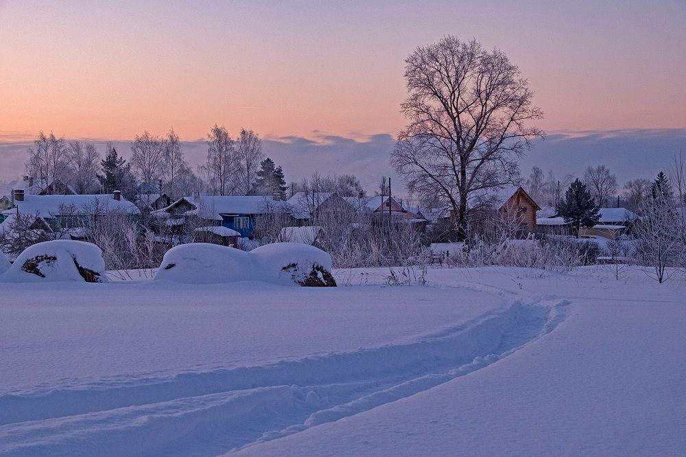 Фотография автора Наталья Липовская