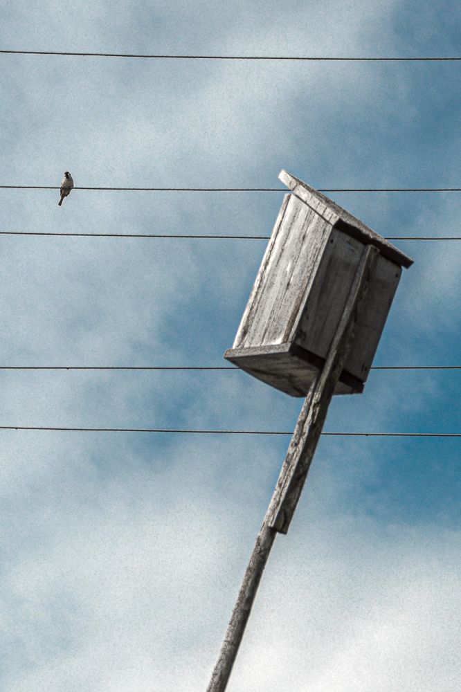 Photograph by Лактионов Анатолий