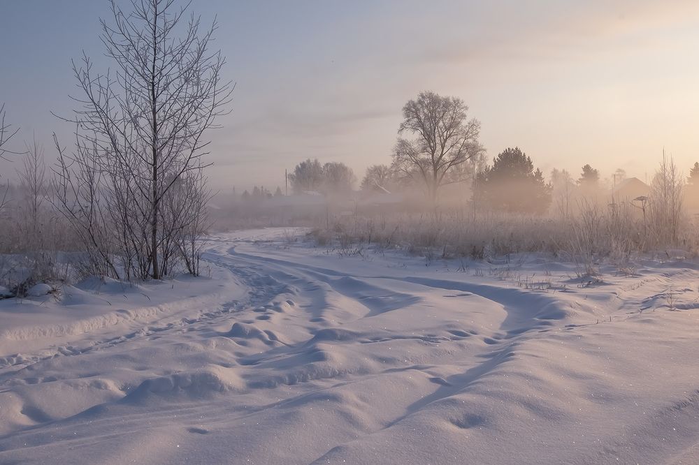 Фотография автора Наталья Липовская