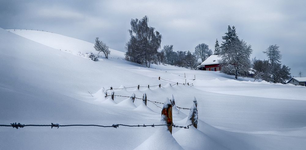 Фотография автора Александр