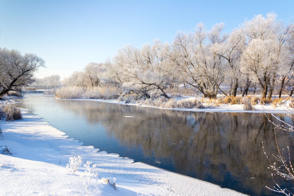 Photograph by Максим Шелякин