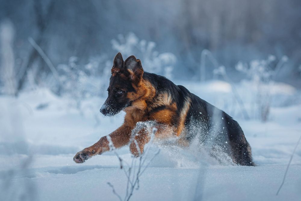 Фотография автора Онучина Юлия