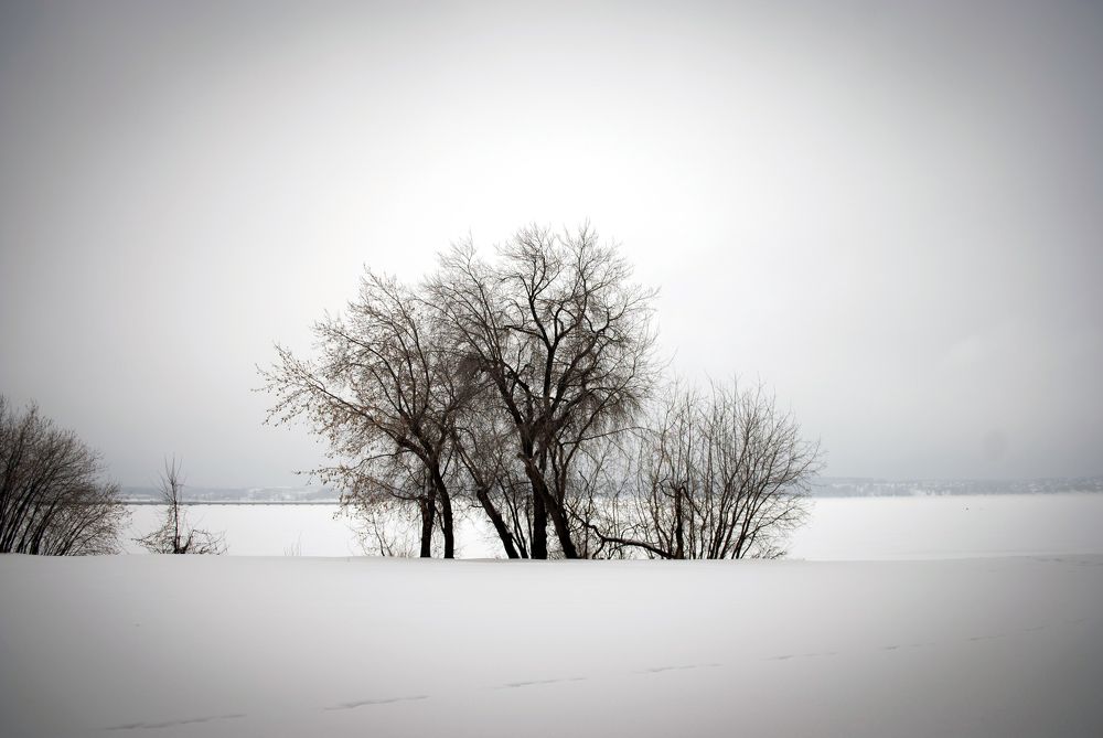 Photograph by Любовь Бусова