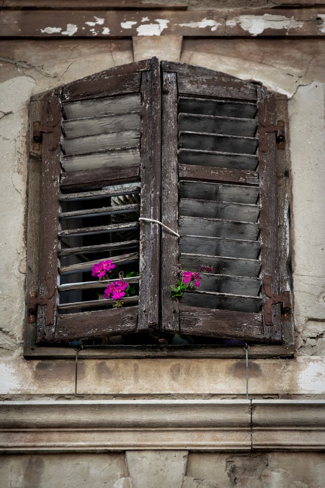 Photograph by Georgina