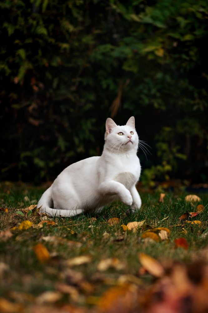 Фотография автора Татьяна Радусь