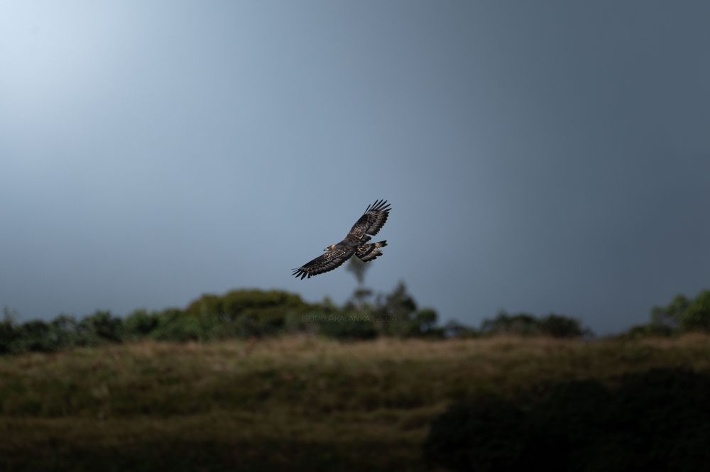 Photograph by Akalanka Isuru