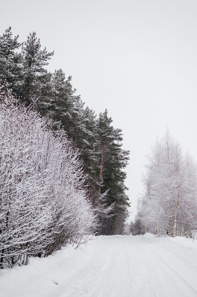 Photograph by Светлана Субботина