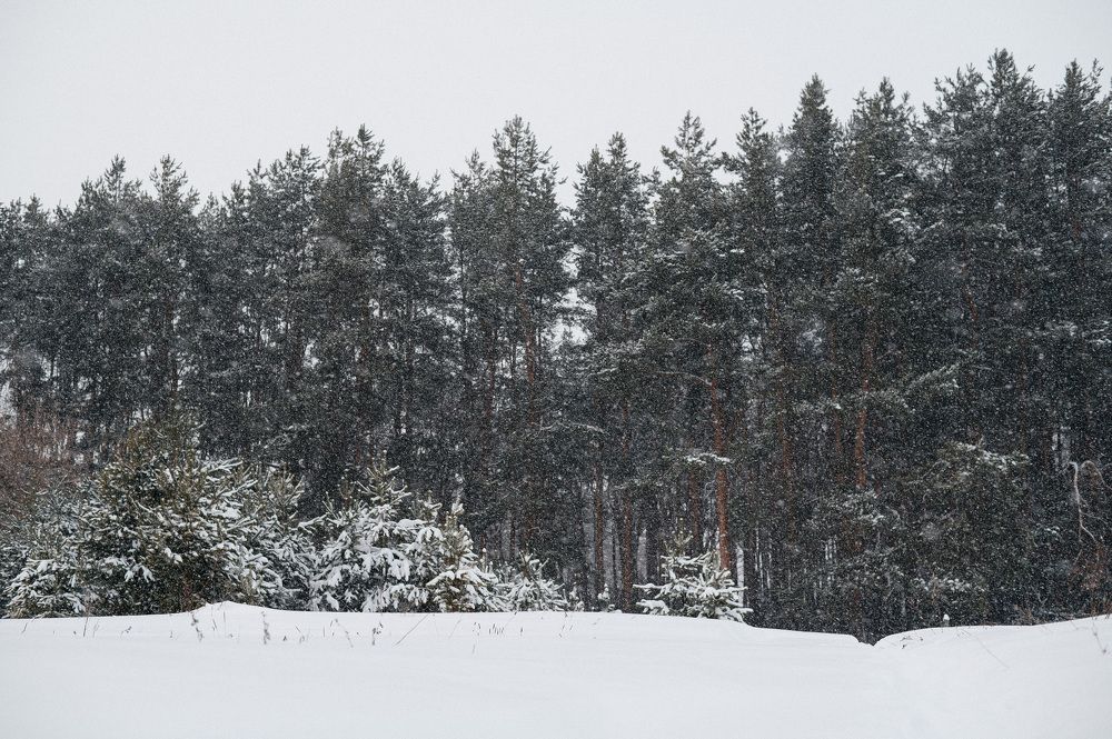 Photograph by Светлана Субботина