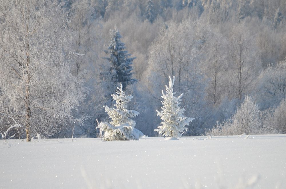 Photograph by Галина Катанова