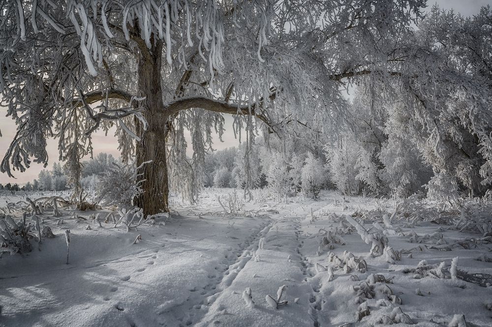 Photograph by Олег Тетерин