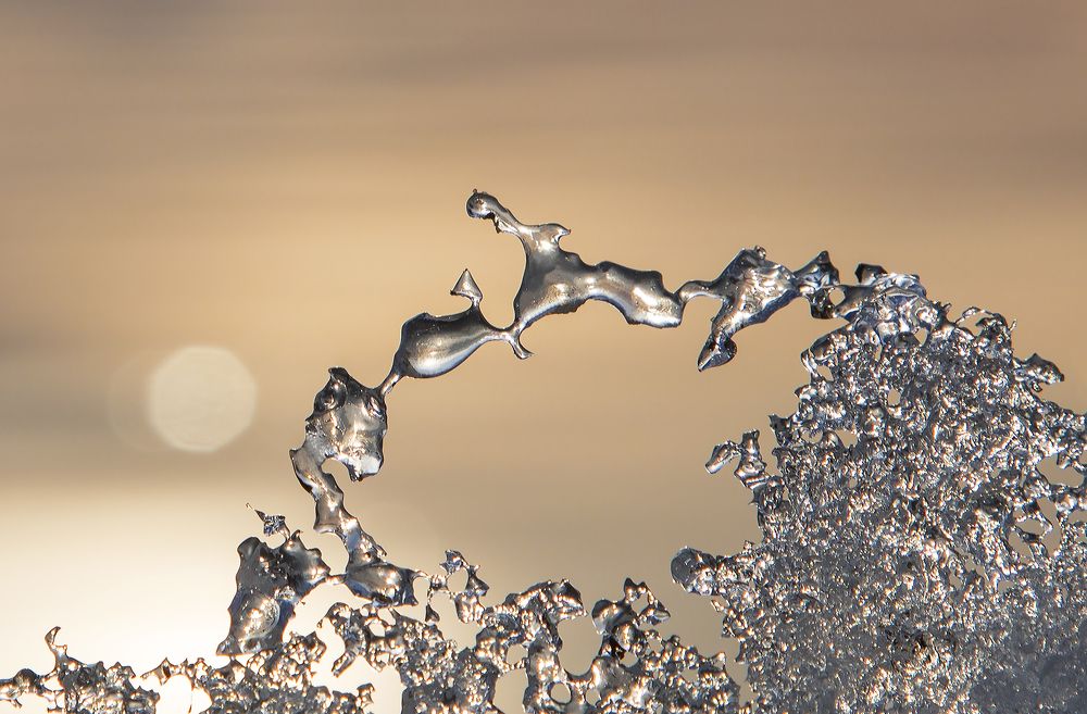 Фотография автора Andrey Pristyazhnyuk