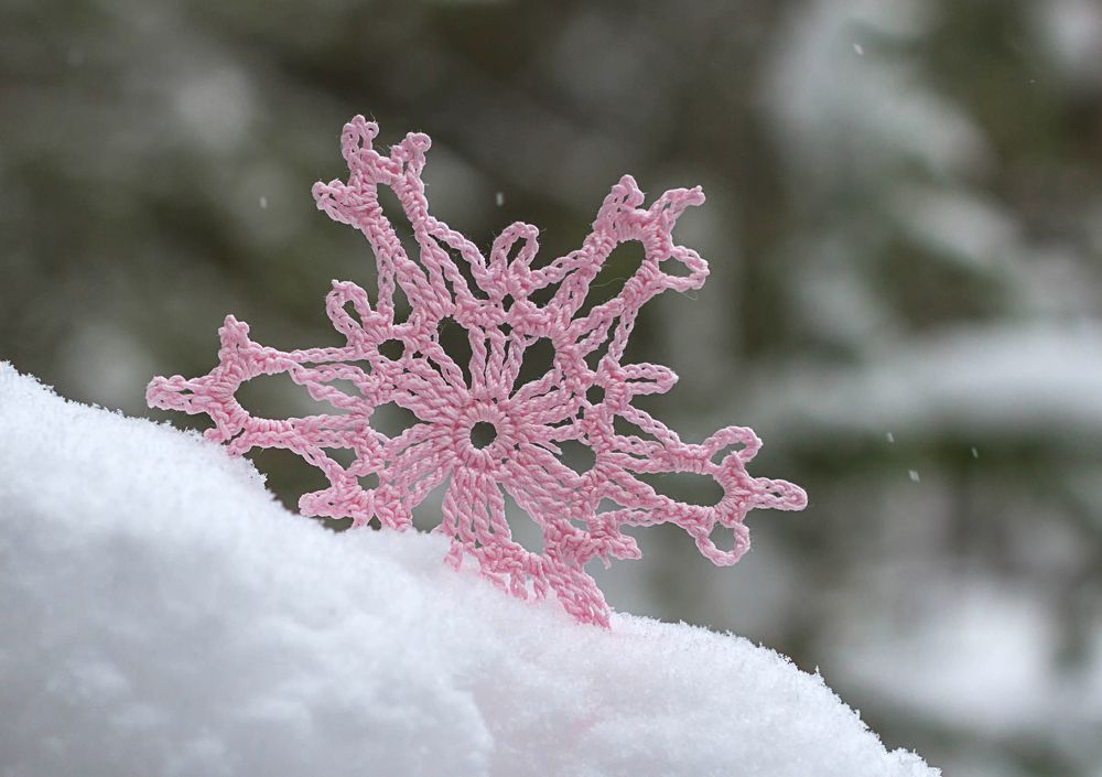 Фотография автора Andrey Pristyazhnyuk