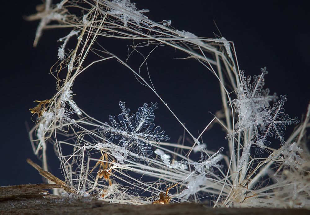 Фотография автора Andrey Pristyazhnyuk