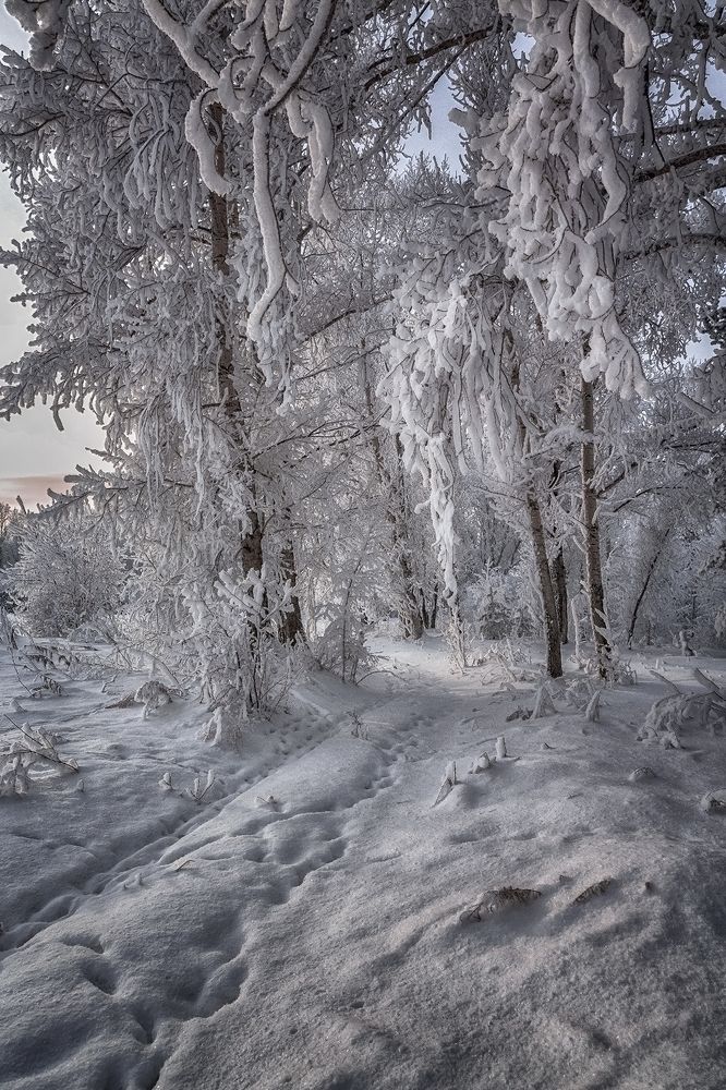 Photograph by Олег Тетерин