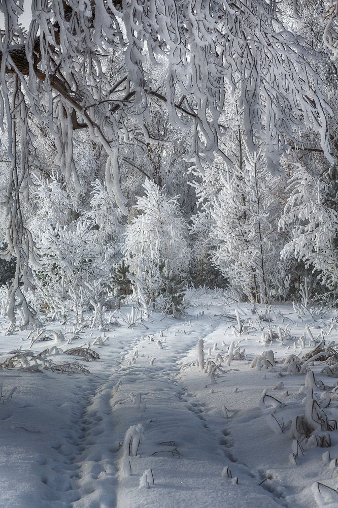 Photograph by Олег Тетерин