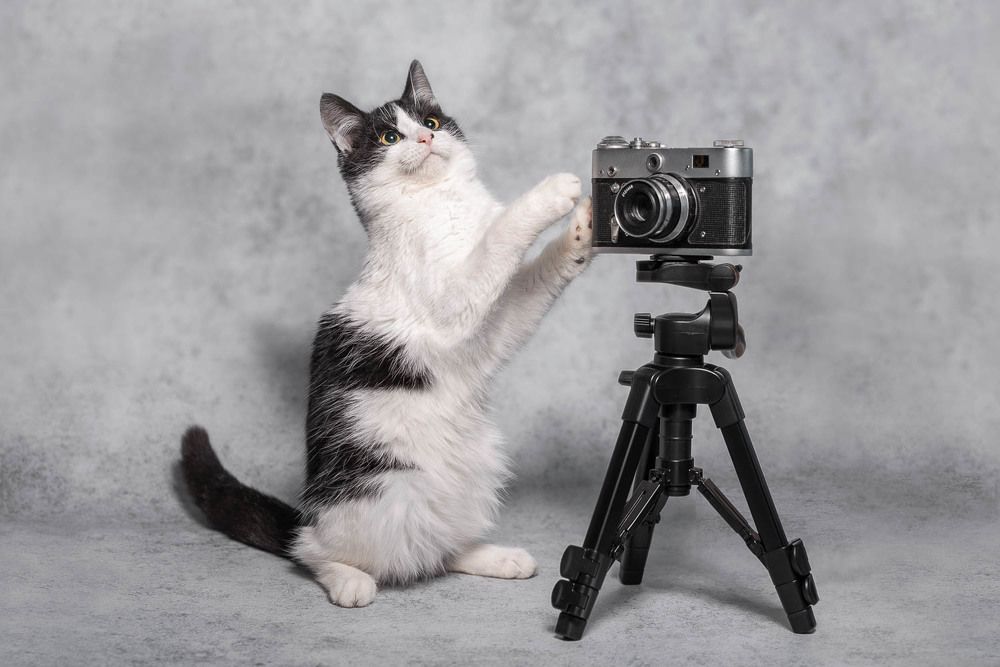 Фотография автора Гера Восьмая