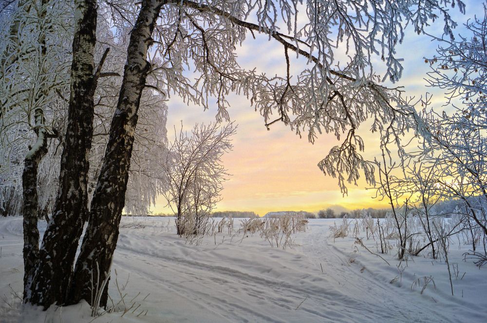 Photograph by Мишустина Татьяна