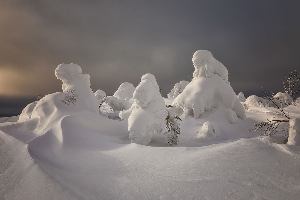 Photograph by Щипкова Елена