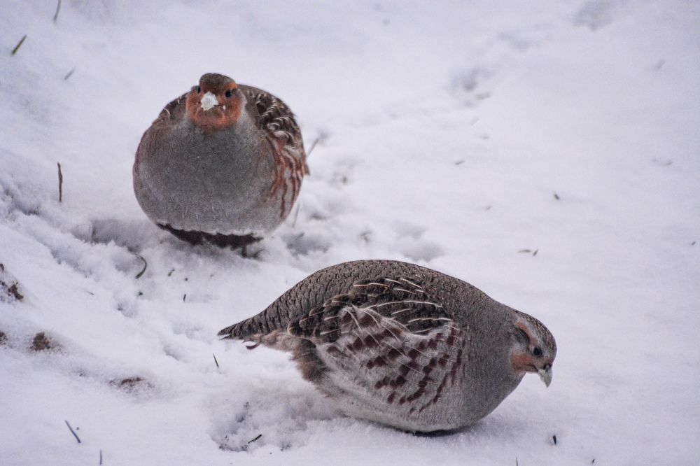 Photograph by Анастасия Гурова