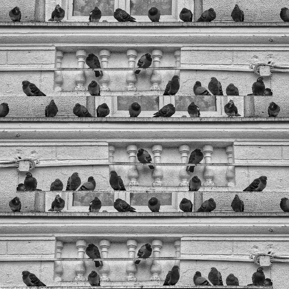 Фотография автора Максим Светличный