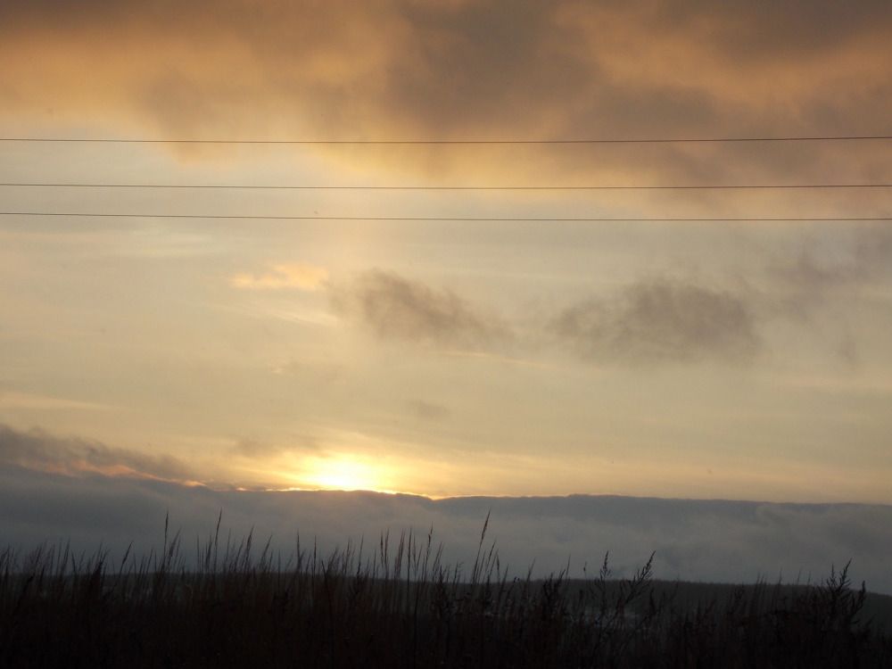 Фотография автора Антонина Клементьева