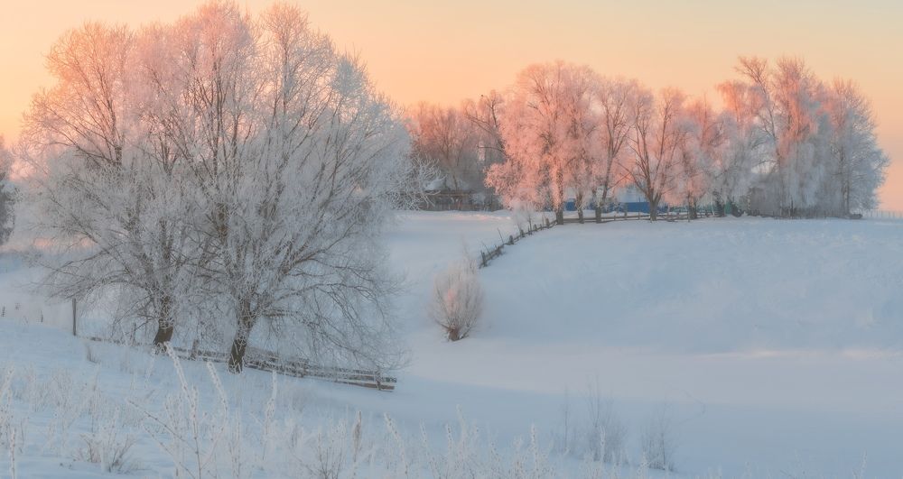 Фотография автора Константин Григорьев