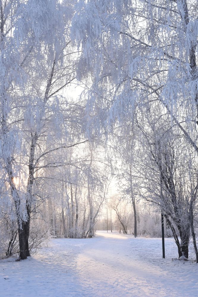 Photograph by Дмитрий Латышонок