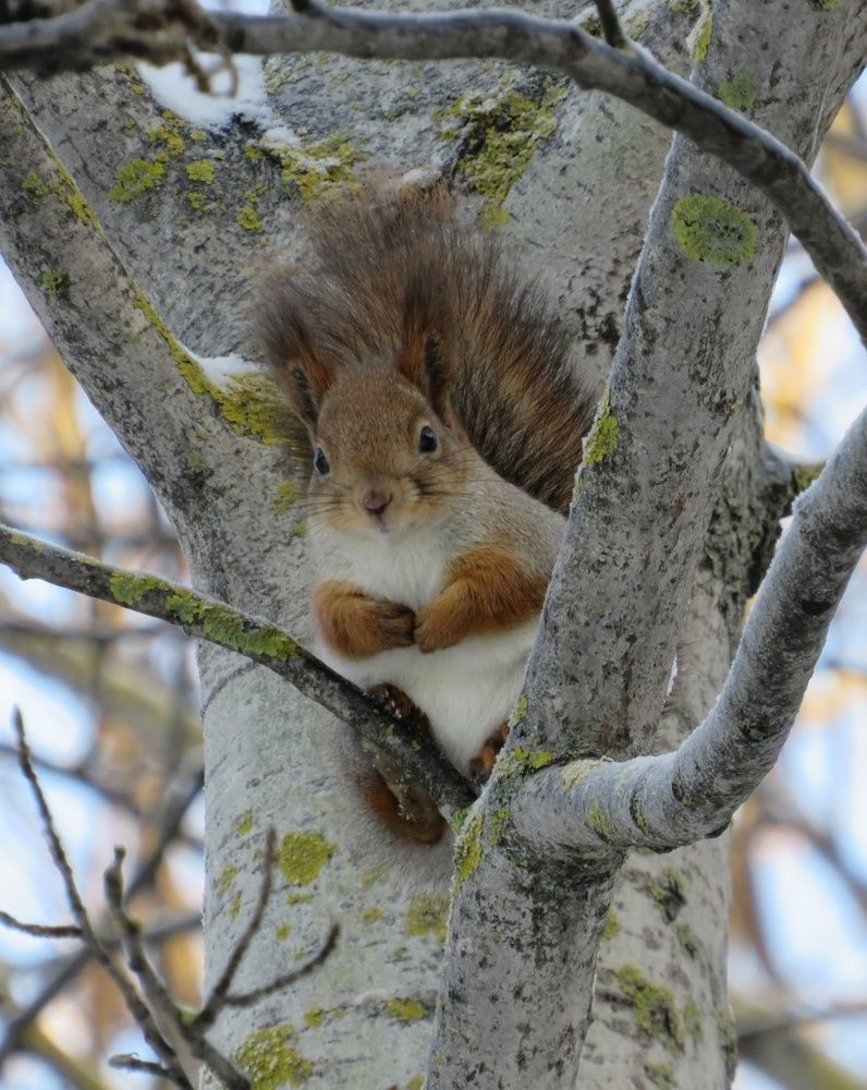 Photograph by Елена Кузина