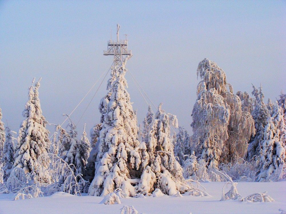 Photograph by Николай Худяков