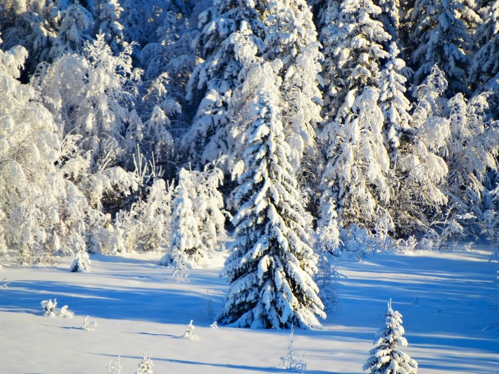 Photograph by Николай Худяков