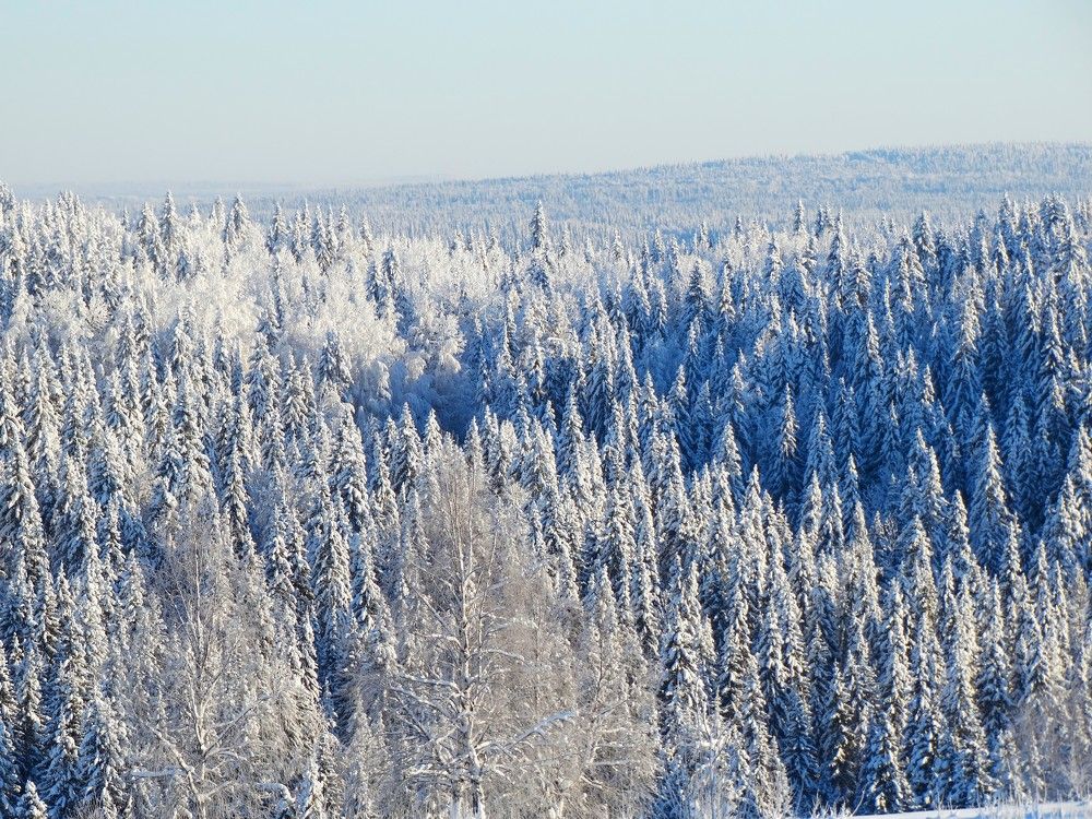 Photograph by Николай Худяков