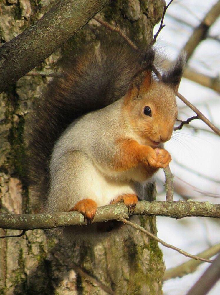 Photograph by Елена Кузина