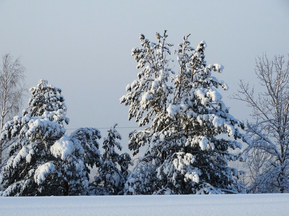 Photograph by Николай Худяков