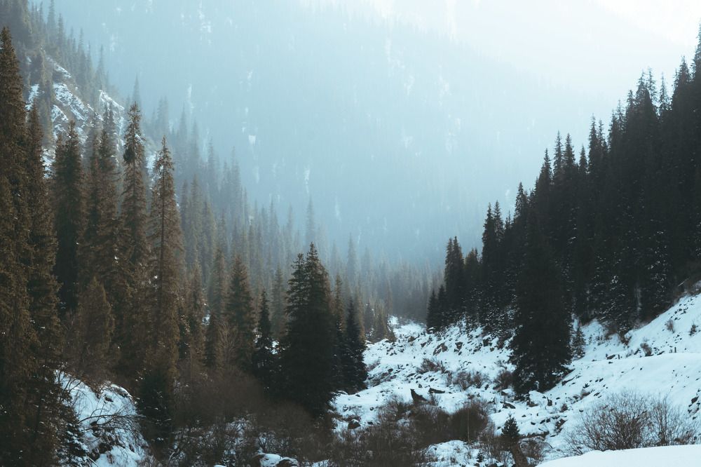 Photograph by Василий Шумкин