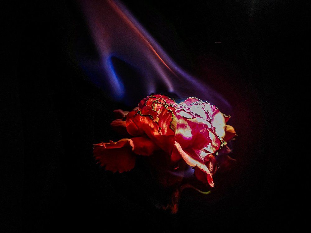 Photograph by Ivan Goshtanar