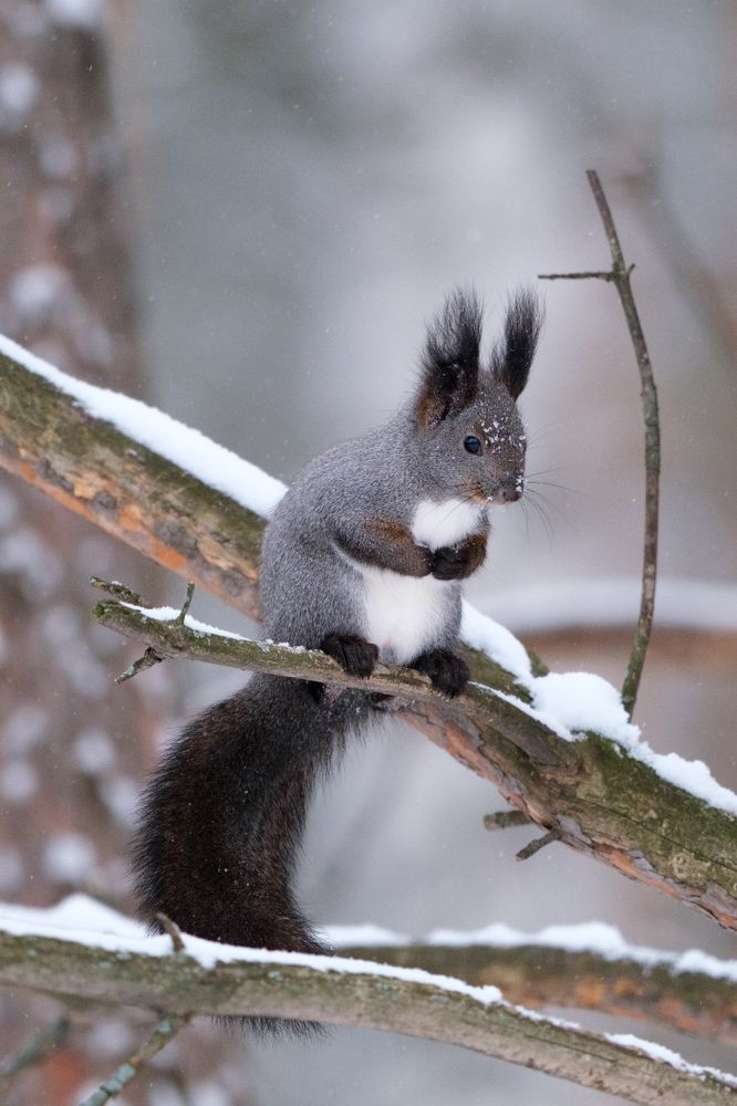 Photograph by Денис Вавилов