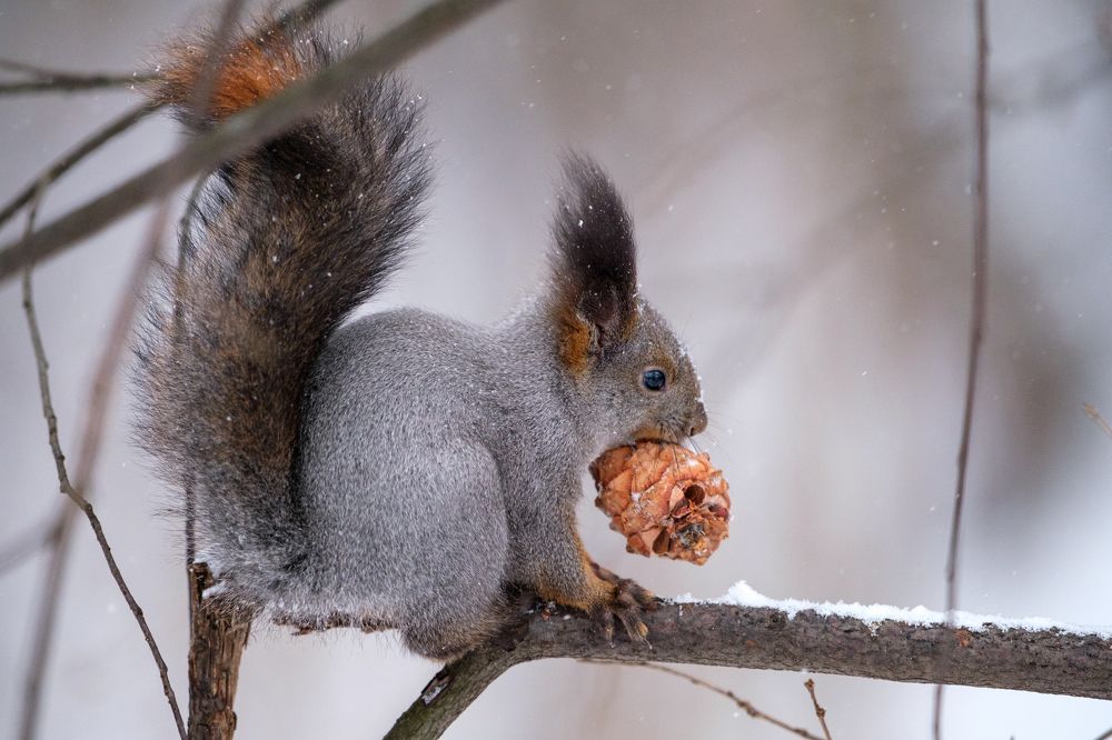 Photograph by Денис Вавилов