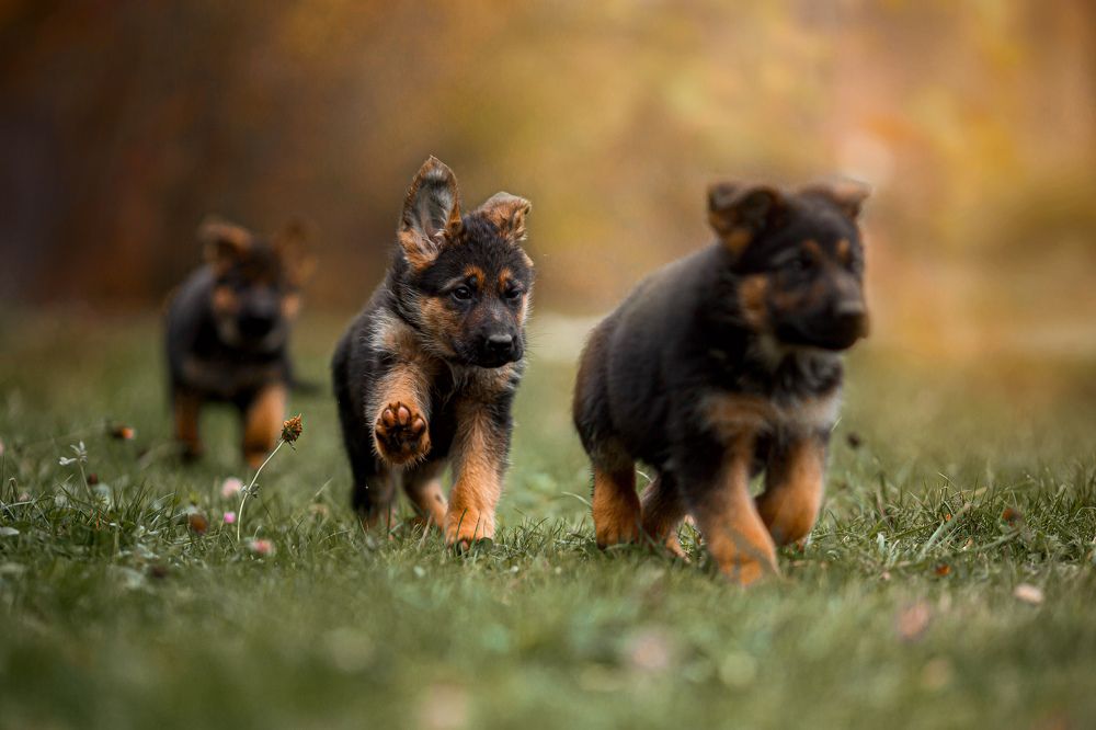 Photograph by Онучина Юлия