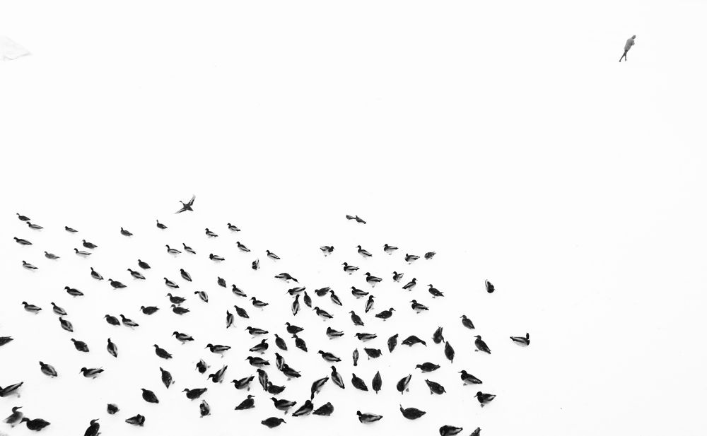 Без названия..