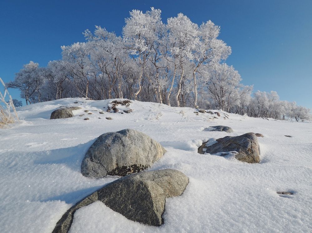 Photograph by Евгений Яковлев